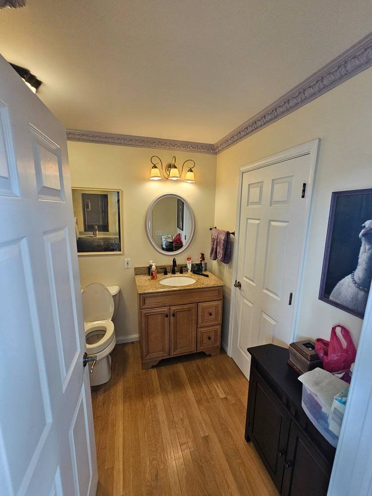Bathroom before remodel β dated vanity, old lighting, Barrington IL