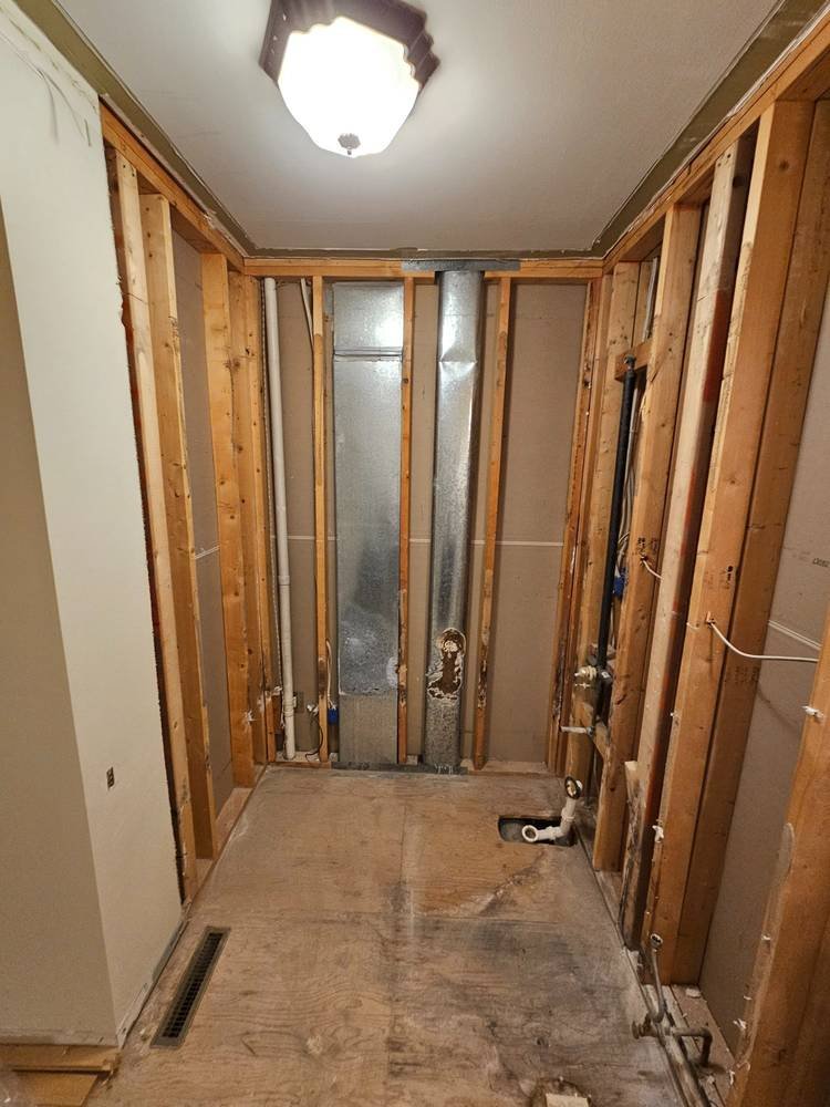 Bathroom full gut demo to studs β Barrington IL remodeling contractor